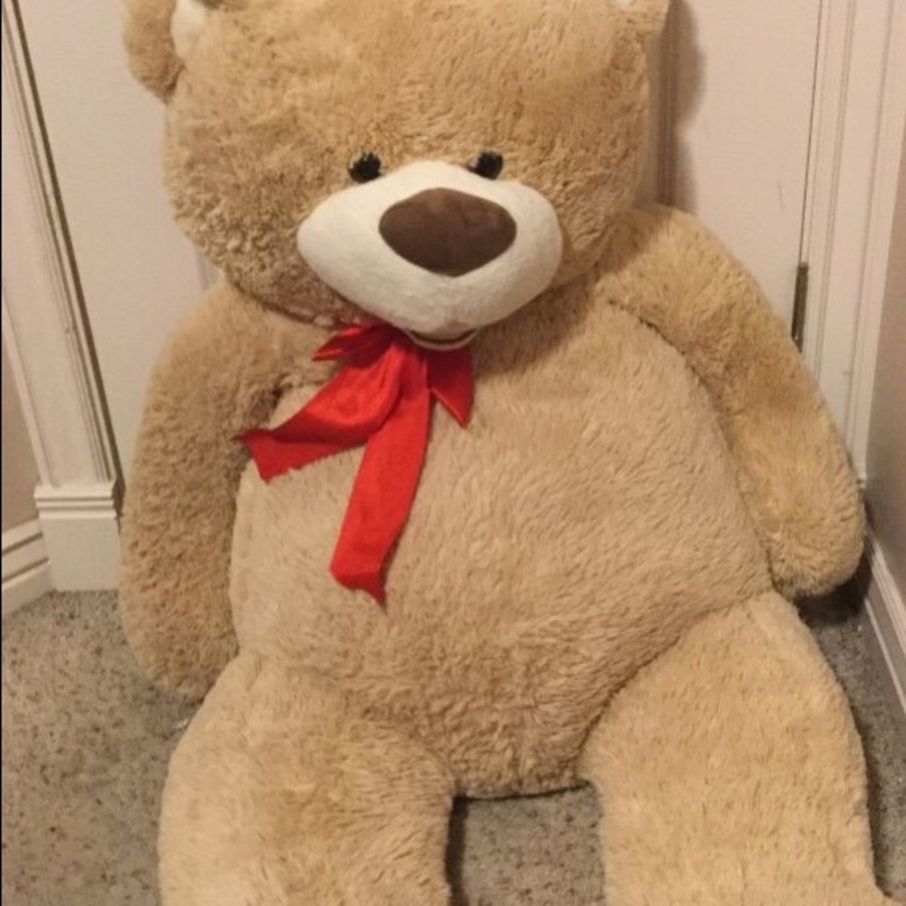 Tan teddy bear